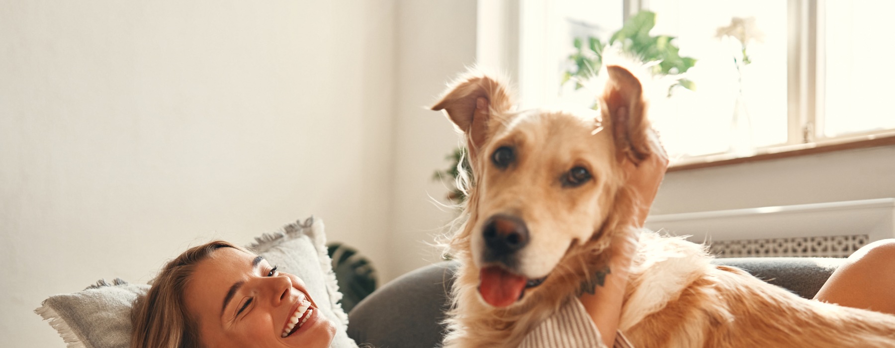 Pet Friendly